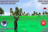 Tiger Woods PGA Tour 2004